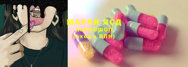 ПСИЛОЦИБИНОВЫЕ ГРИБЫ Алзамай