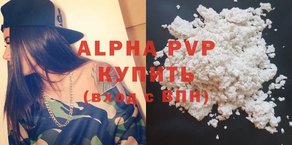 индика Дмитровск