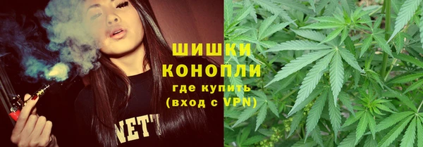 ПСИЛОЦИБИНОВЫЕ ГРИБЫ Алзамай