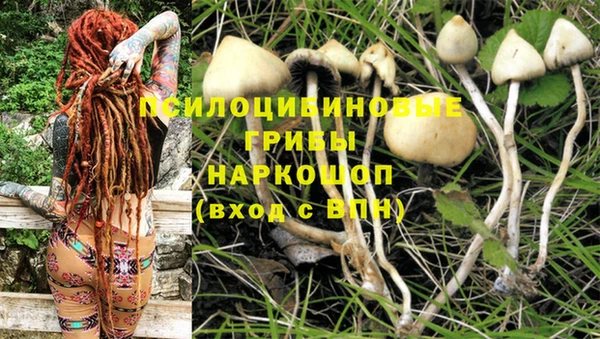 марихуана Алексеевка