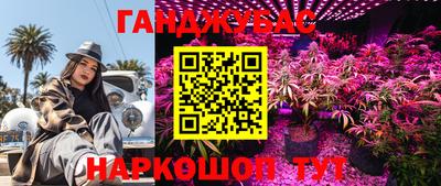 сатива Пушкино