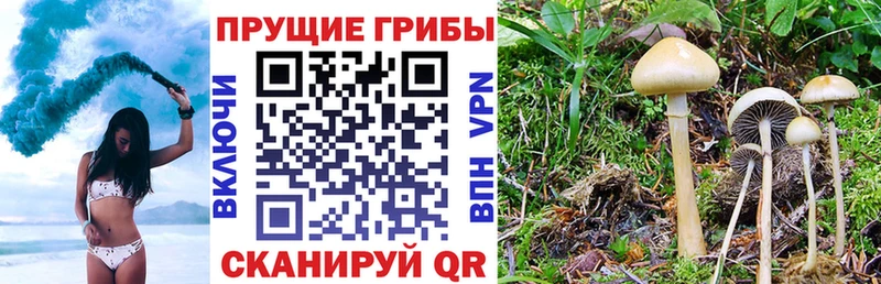 Псилоцибиновые грибы мицелий  дарнет шоп  Омск 