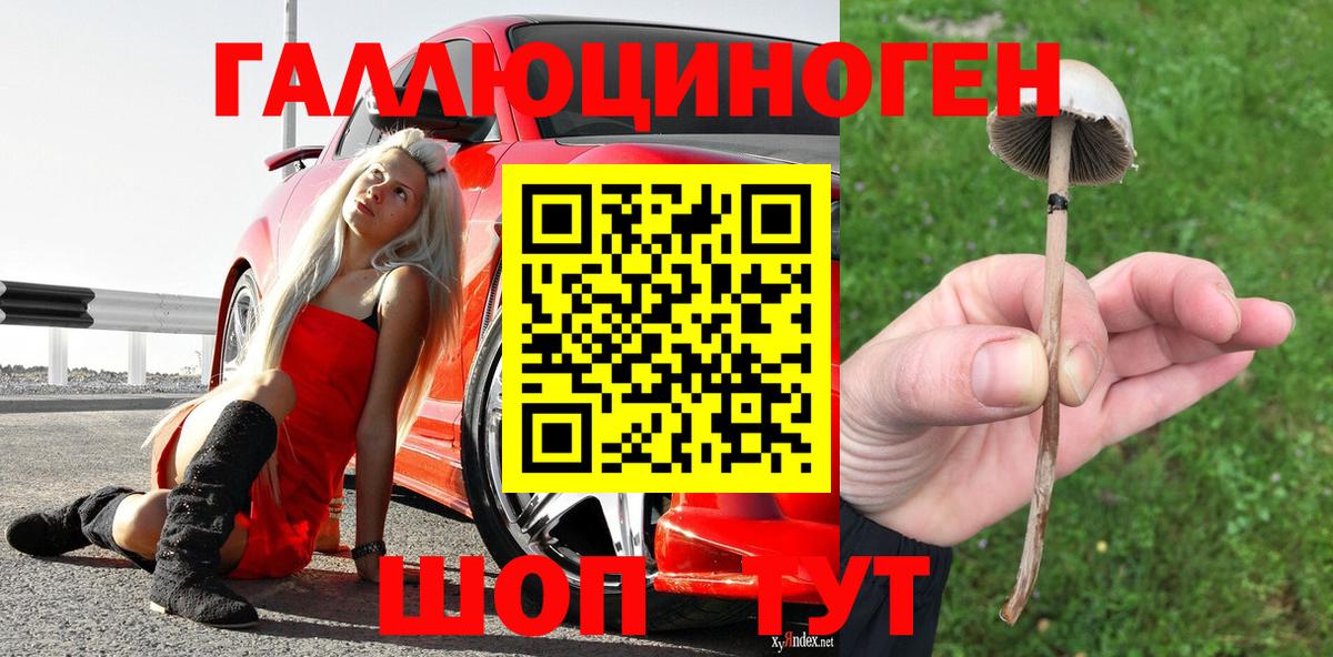 Галлюциногенные грибы Cubensis  Вход с VPN  Омск 